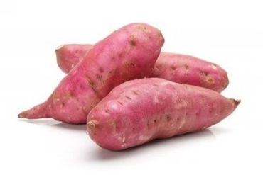 Sweet Potato White Egyptian